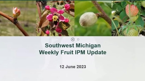 Thumbnail for entry South Michigan Fruit IPM Update June 12 2023