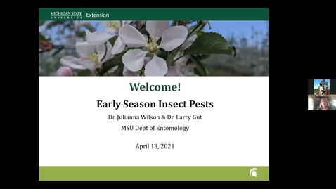 Thumbnail for Early Season Apple Insect Pests 2021