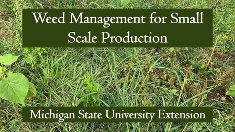 Thumbnail for Weed Management Techniques for Small-Scale Growers