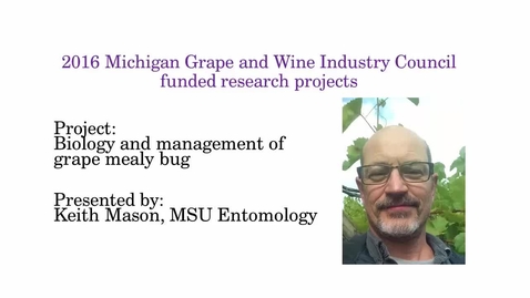 Thumbnail for entry Biology and Management of Grape Mealy Bug