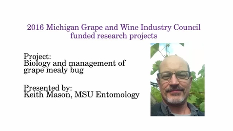 Thumbnail for Biology and Management of Grape Mealy Bug