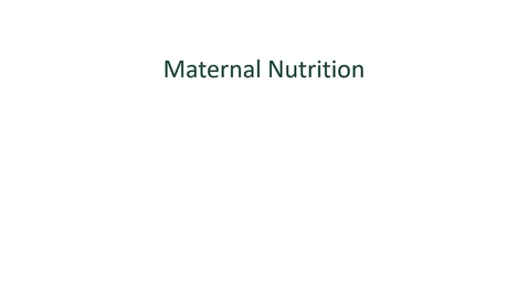 Thumbnail for entry Module 9- Maternal Nutrition