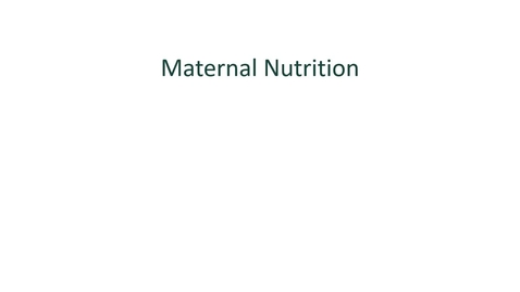 Thumbnail for Module 9- Maternal Nutrition
