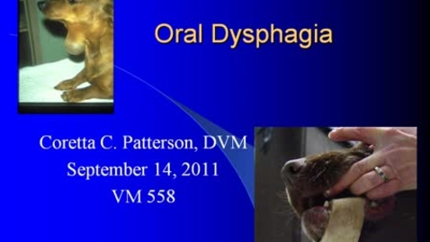 Thumbnail for entry VM_558_09142011_Dysphagia__Patterson
