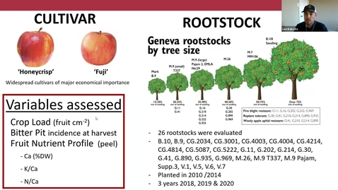 Thumbnail for entry Honeycrisp Virtual Meetup #3 - Nutrition Part 3 Kalcsits