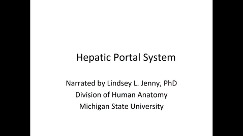 Thumbnail for entry ANTR510 (017) Hepatic Portal Venous System