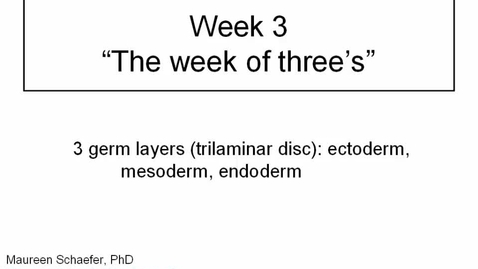 Thumbnail for ANTR510 (003) Early Embryology Week 3: The week of threes