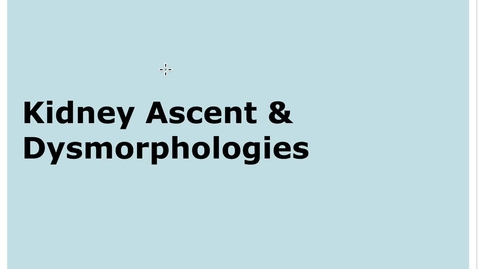 Thumbnail for entry 9-3 Kidney Ascent Dysmorphologies