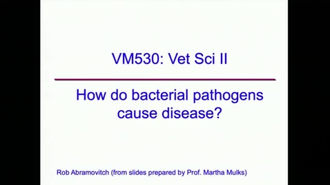 Thumbnail for entry VM 530 Microbial Pathogenesis Activity - Abramovitch