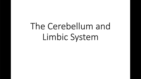 Thumbnail for entry Cerebellum and Limbic System