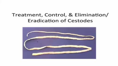 Thumbnail for HM887Cestodes