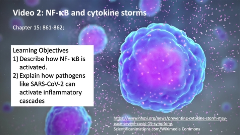 Thumbnail for 015 Video 2 NF-kB and cytokine storms