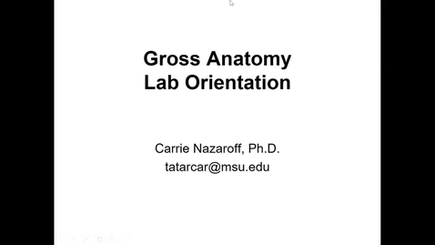 Thumbnail for ANTR510 Lab Orientation