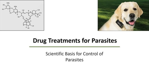 Thumbnail for entry VM 530-Drug Treatments for Parasites