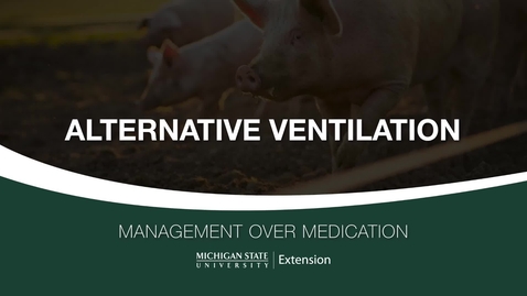 Thumbnail for Alternative Ventilation Tools and Tips for Small Swine Farms and Show Pigs