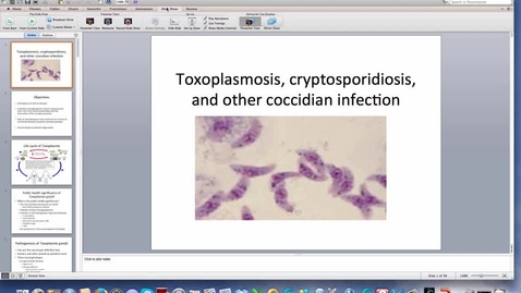 Thumbnail for Week-eight-HM-881-Coccidia