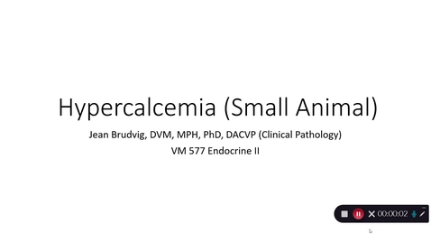 Thumbnail for entry VM 577-Hypercalcemia