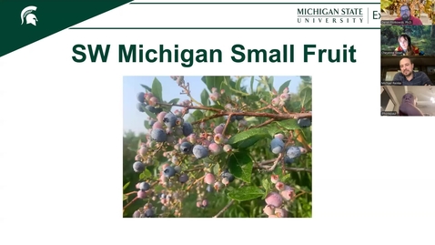 Thumbnail for April 8, 2025 MSUE Small Fruit IPM Update for Southern Michigan