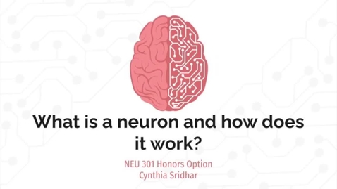 Thumbnail for CynthiaSridhar-NEU 301 Honors Option