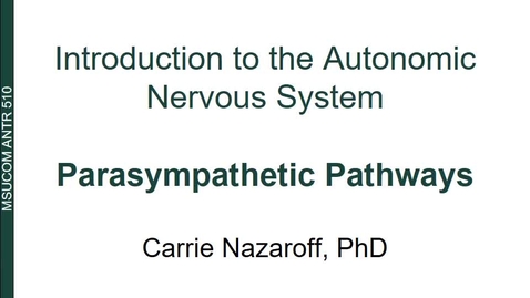 Thumbnail for entry ANTR510 Introduction to the Autonomic Nervous System - Parasympathetic Pathways 