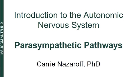Thumbnail for ANTR510 Introduction to the Autonomic Nervous System - Parasympathetic Pathways 
