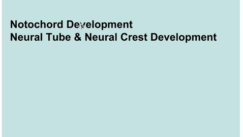 Thumbnail for entry 2-2 Notochord Neural Tube Neural Crest