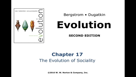Thumbnail for Sociality