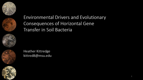 Thumbnail for entry Environmental Drivers and Evolutionary Consequences of Horizontal Gene Transfer in Soil Bacteria