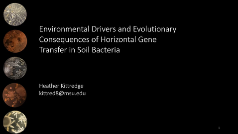 Thumbnail for Environmental Drivers and Evolutionary Consequences of Horizontal Gene Transfer in Soil Bacteria