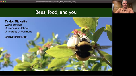 Thumbnail for Bees, food, and you