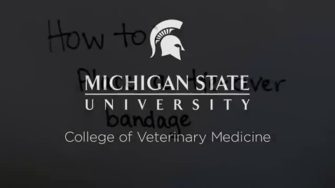 Thumbnail for entry VM 534-How to Place a Tie-Over Bandage - Gallaher