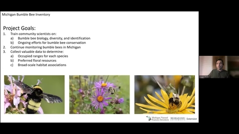 Thumbnail for MBBI Training Series Part 1 - Bumble Bee Biology &amp; Identification
