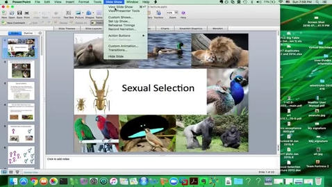 Thumbnail for entry Sexual selection