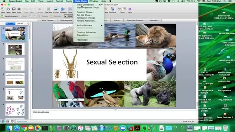 Thumbnail for Sexual selection