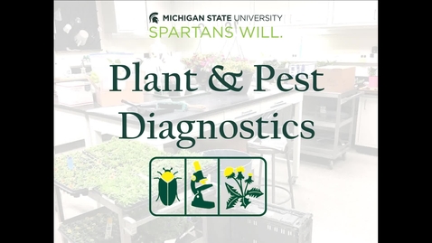 Thumbnail for entry MSU Plant &amp; Pest Diagnostics Introduction &amp; Sample Submission