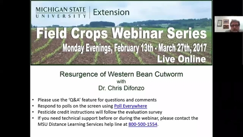 Thumbnail for Resurgence of Western Bean Cutworm 