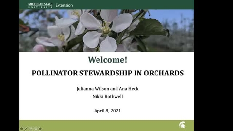 Thumbnail for entry Pollinator Stewardship in Orchards