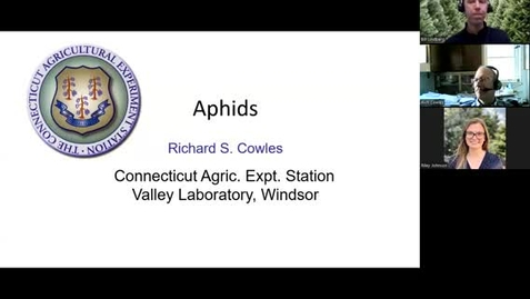 Thumbnail for Aphid Management in Christmas Tree Production