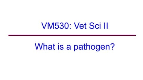 Thumbnail for entry VM 530 - What is a pathogen?