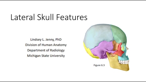 Thumbnail for entry Lateral Skull Bones &amp; Features