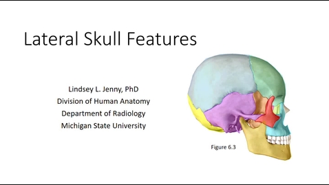 Inferior Skull Bones & Features - MSU MediaSpace