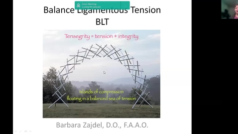 Thumbnail for BLT ppt