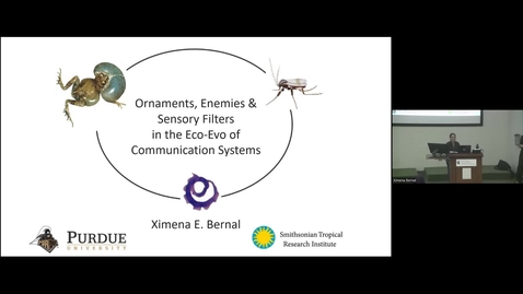 Thumbnail for Eminent Ecologist - Ximena Bernal - June 3rd 2024