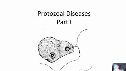 Thumbnail for HM863Mod4ProtozoalDiseasesPart1