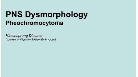 Thumbnail for entry 2-5 PNS Pheochromocytoma