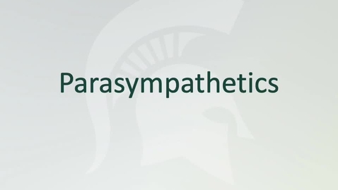 Thumbnail for entry ANTR510 Introduction to the Autonomic Nervous System - Parasympathetic
