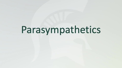 Thumbnail for ANTR510 Introduction to the Autonomic Nervous System - Parasympathetic