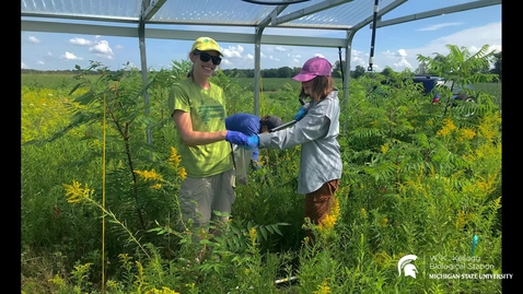 Thumbnail for entry Climate change and microbes with Dr. Jennifer Jones &amp; Dr. Grant Falvo