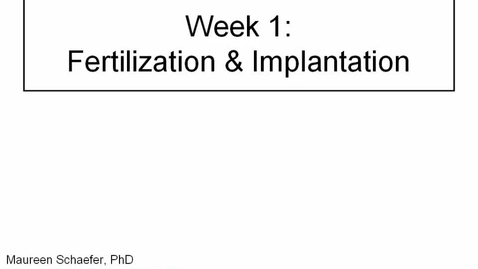 Thumbnail for entry ANTR510 (001) Early Embryology Week 1: Fertilization and Implantation 
