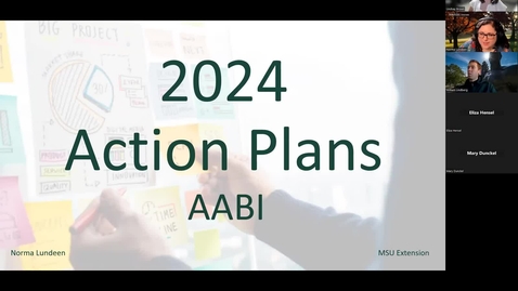 Thumbnail for entry 2024 AABI Action Plans